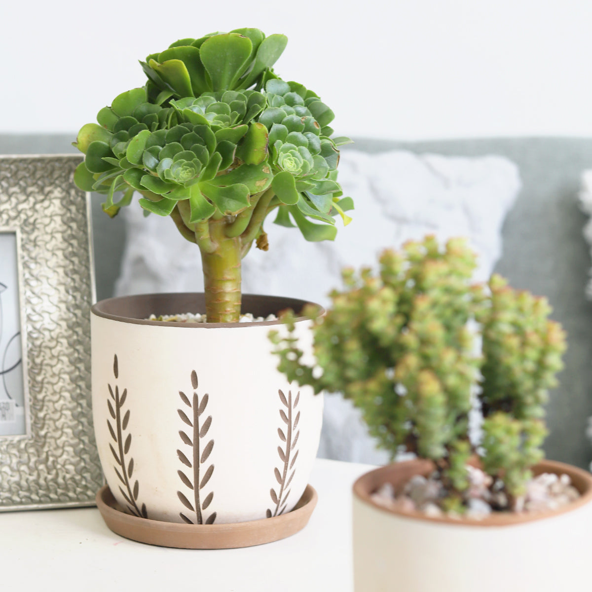 Clay White Vertical Leaf Pattern Pot