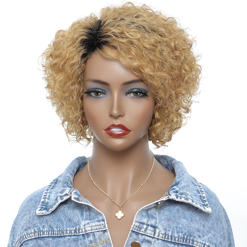 Small Curly Real Hair Wig, Gradual Fluffy Head High-end - Concordia Style Boutique