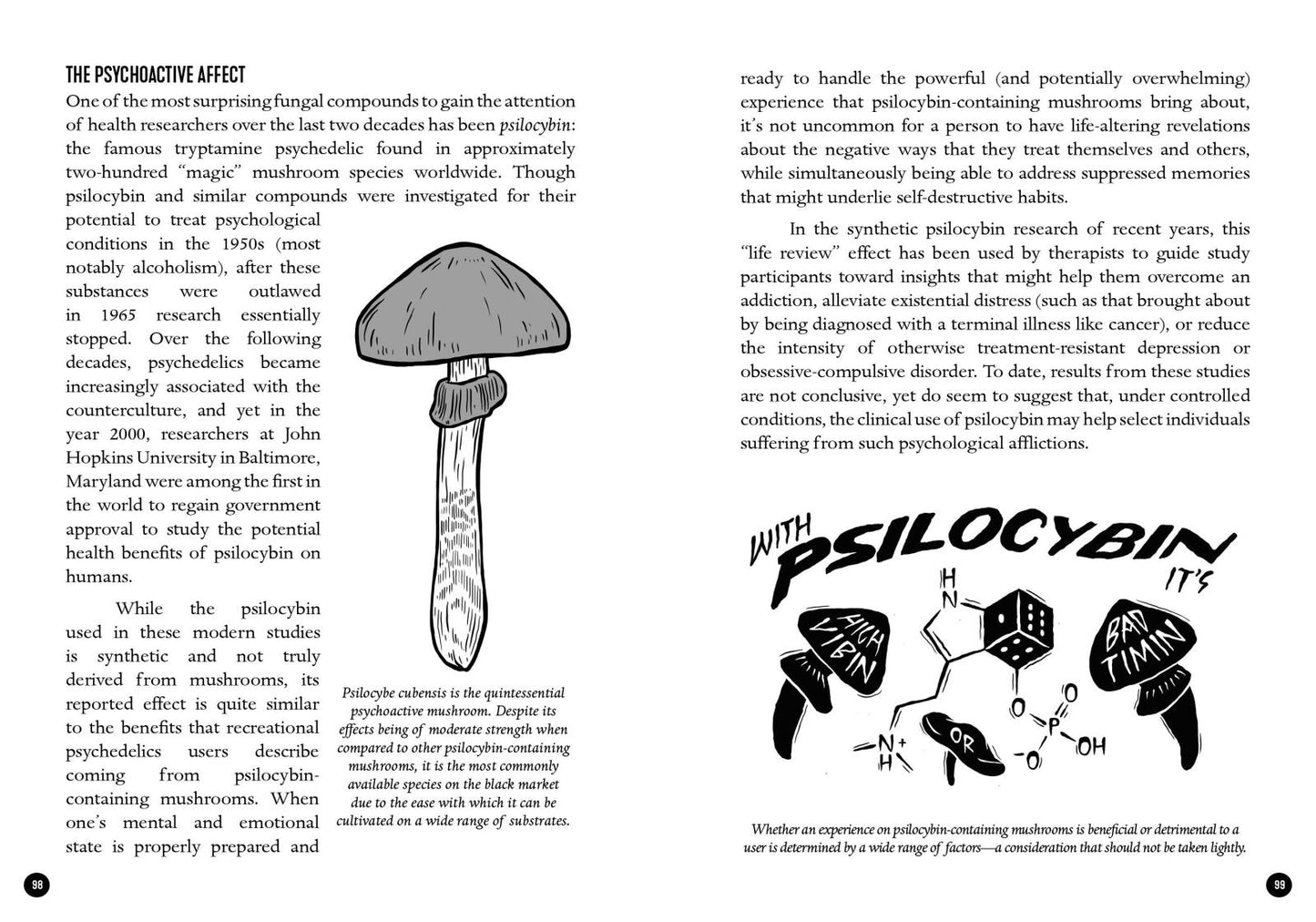 The Mycocultural Revolution: Embark on a Transformative Journey with Fungi - Concordia Style Boutique