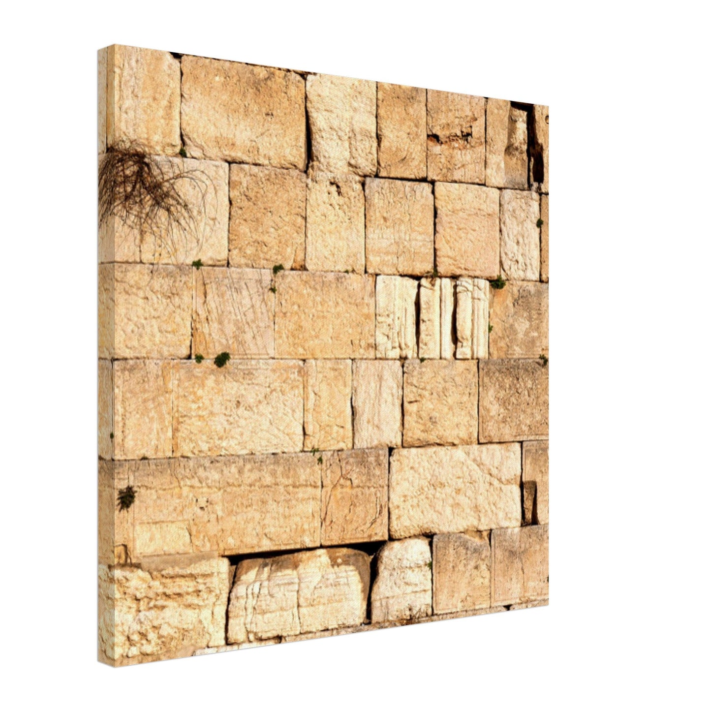 The Western Wall Brick Canvas Print