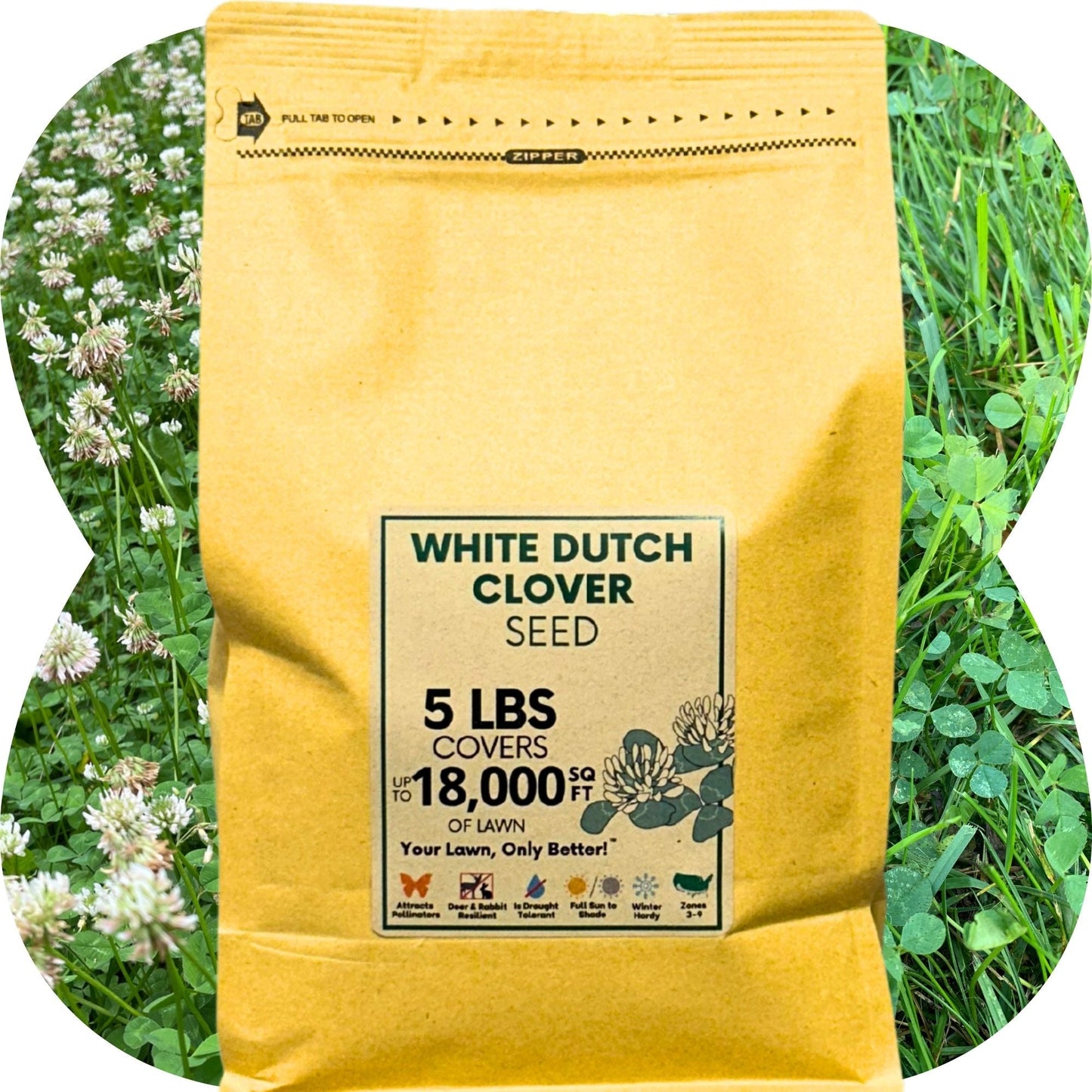 Dutch White Clover Seed - Concordia Style Boutique