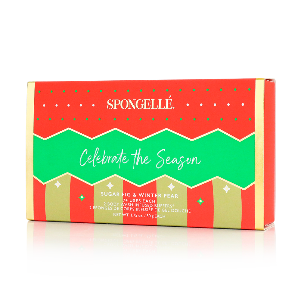 Celebrate the Season | Holiday Ornament Gift Set - Concordia Style Boutique
