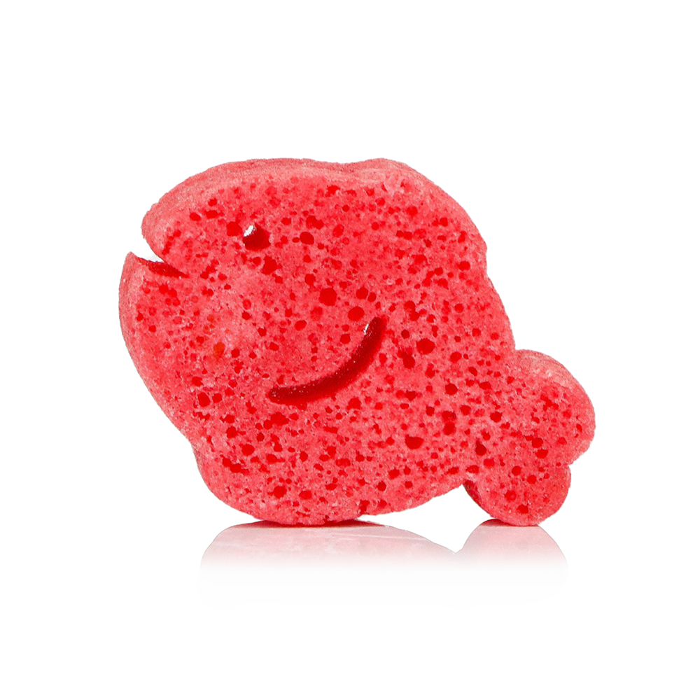Fiona Fish | Sea Animals - Concordia Style Boutique