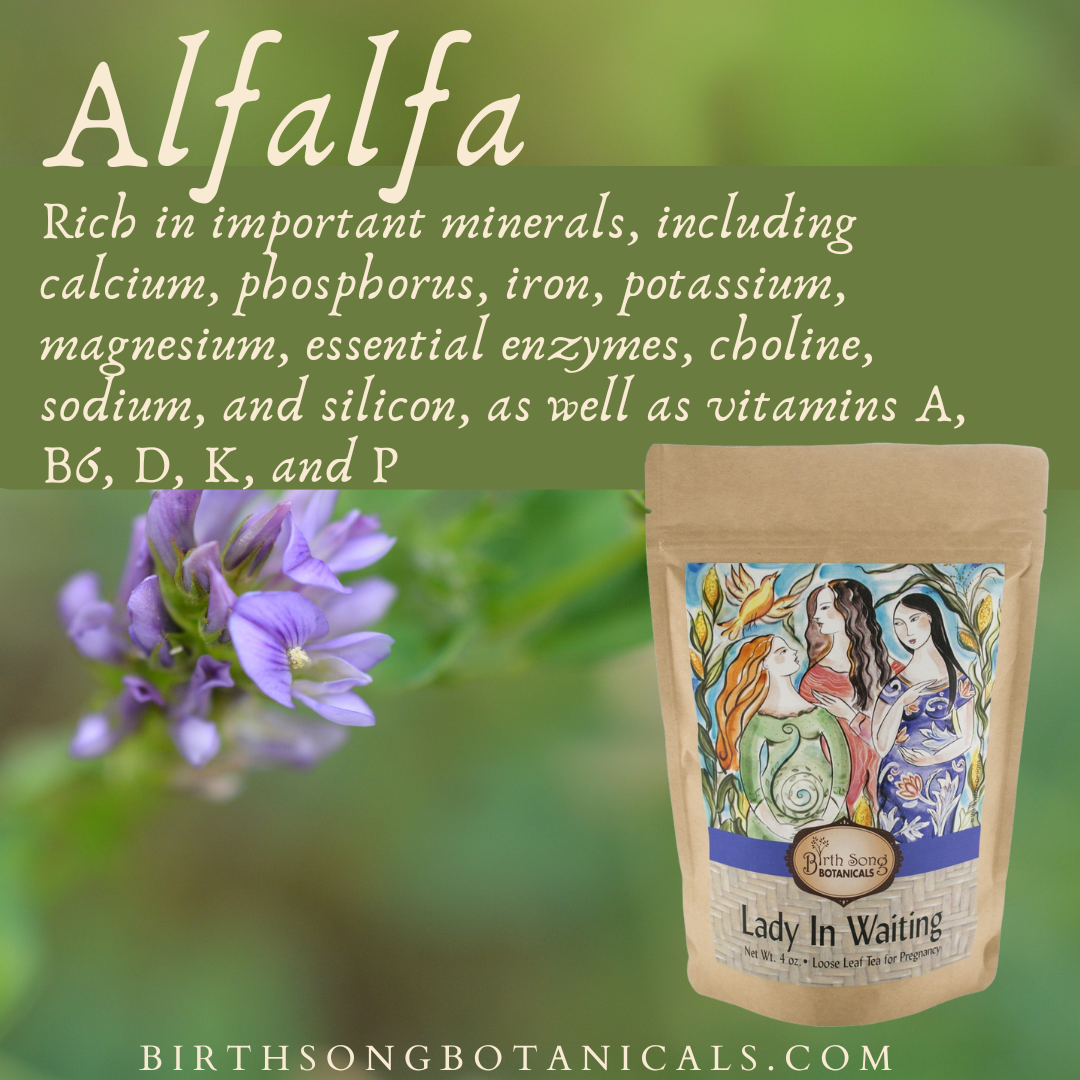 Lady in Waiting Herbal Pregnancy Tea Supports a Healthy Pregnancy* with Organic Red Raspberry Leaf 4 oz. - Concordia Style Boutique