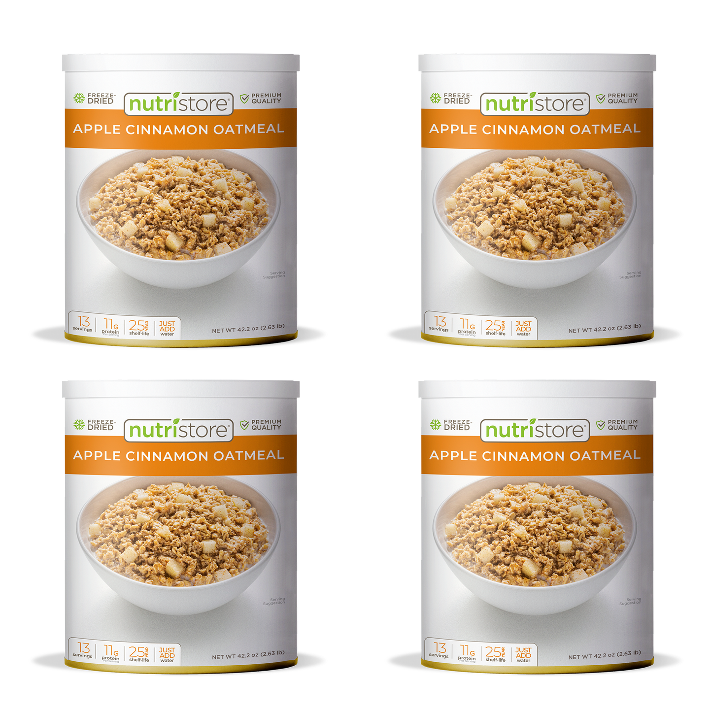 Apple Cinnamon Oatmeal Freeze Dried - #10 Can - Concordia Style Boutique