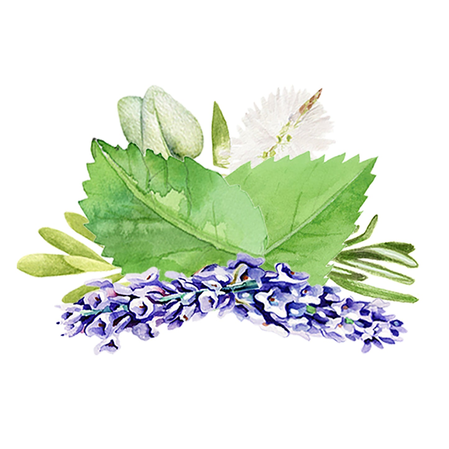 Aromatherapy Blend of Essential Oil - Concordia Style Boutique