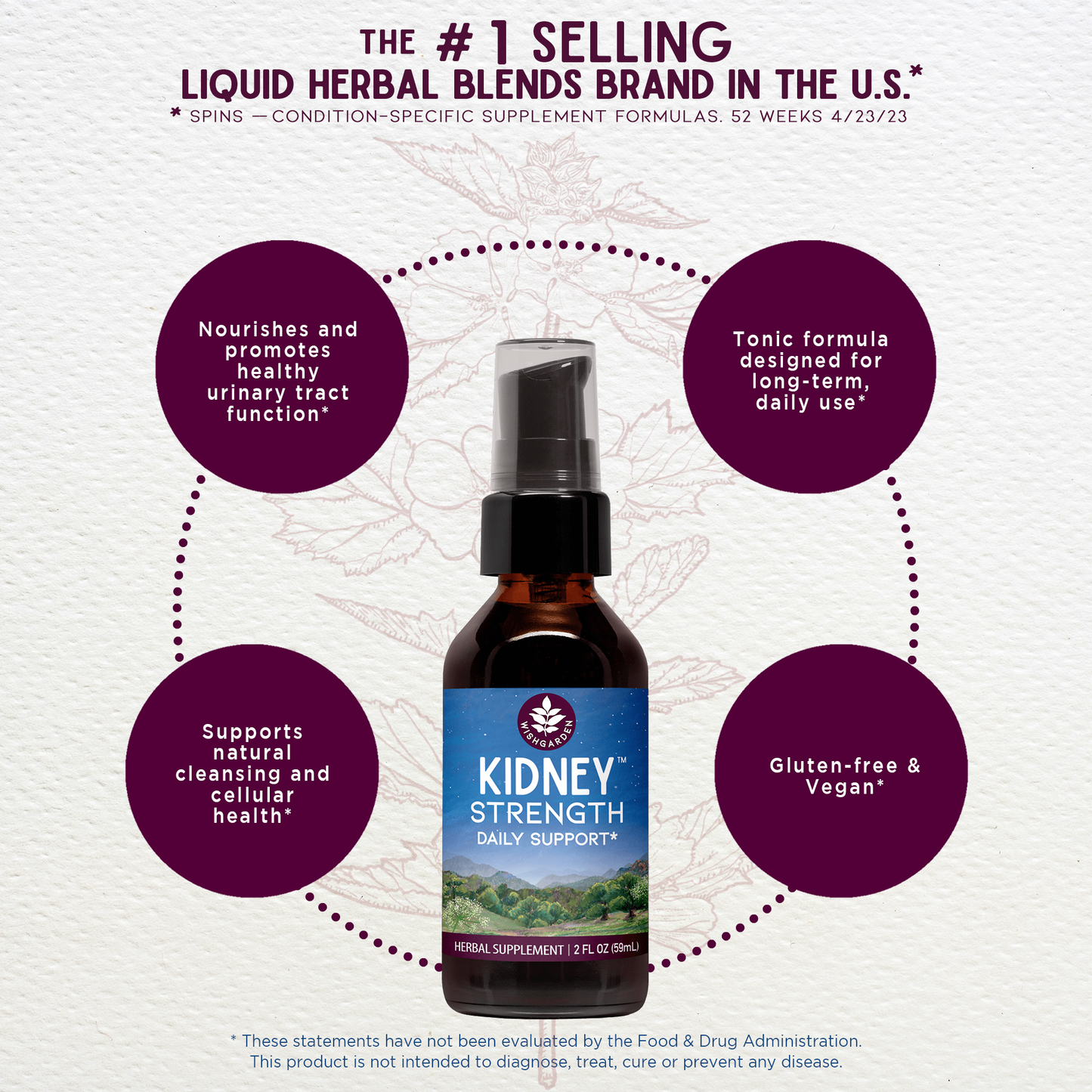 Kidney Strength Daily Support - Concordia Style Boutique