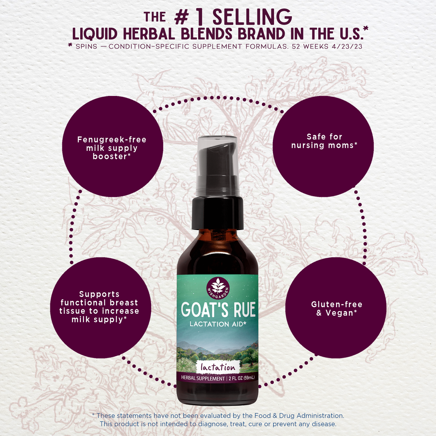 Goat's Rue Lactation Aid - Concordia Style Boutique