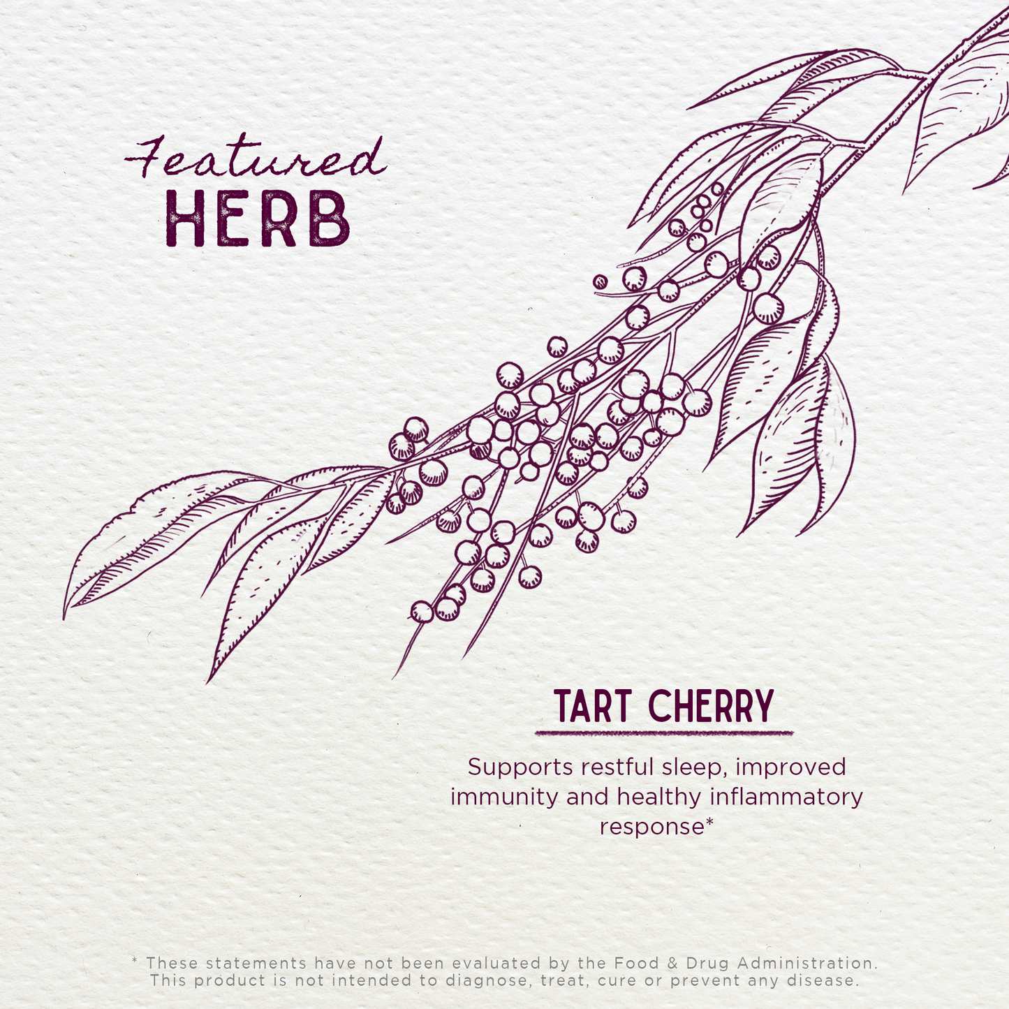 Tart Cherry - Concordia Style Boutique