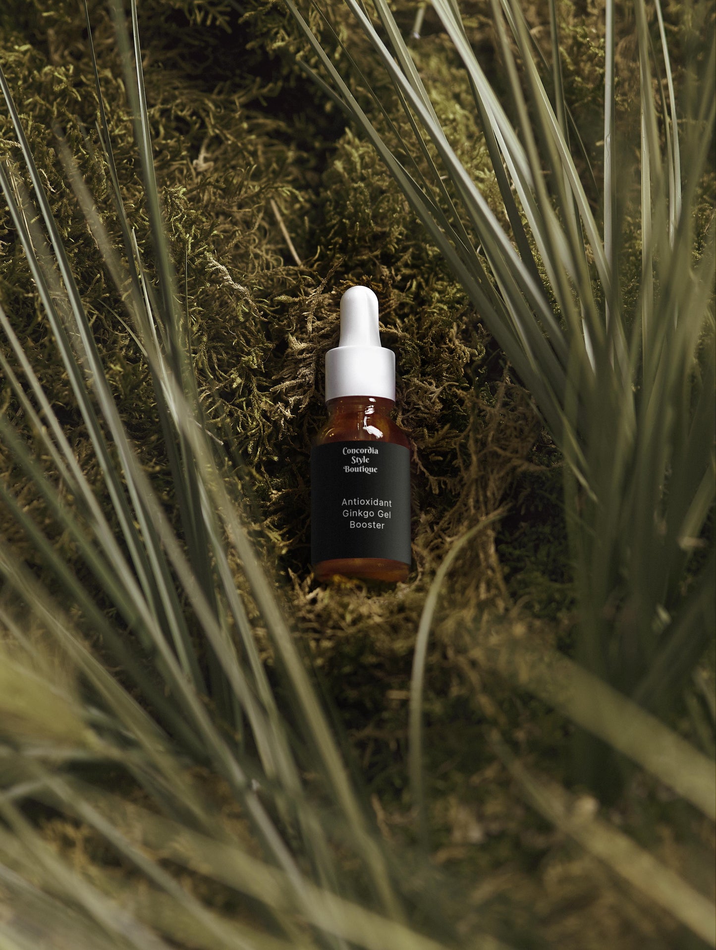 Antioxidant Ginkgo Gel Booster - Concordia Style Boutique