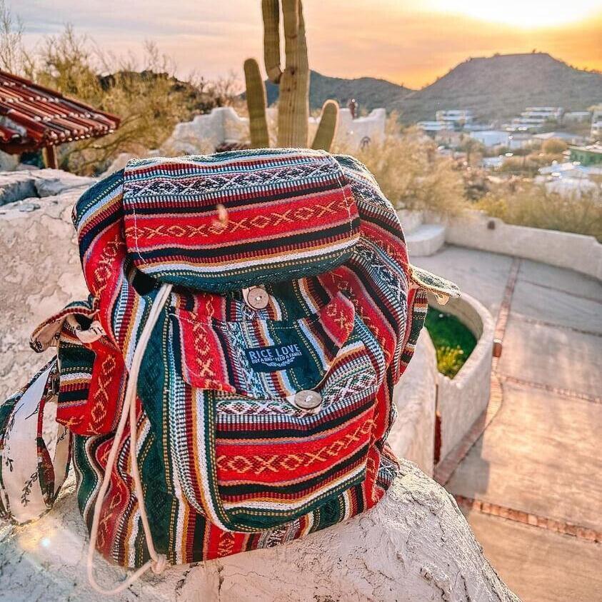 Recycled Travel Backpack Delhi