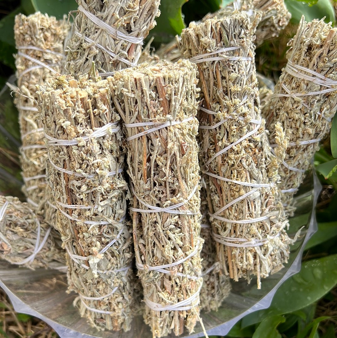 Black Smudge Sage - Mugwort - Concordia Style Boutique