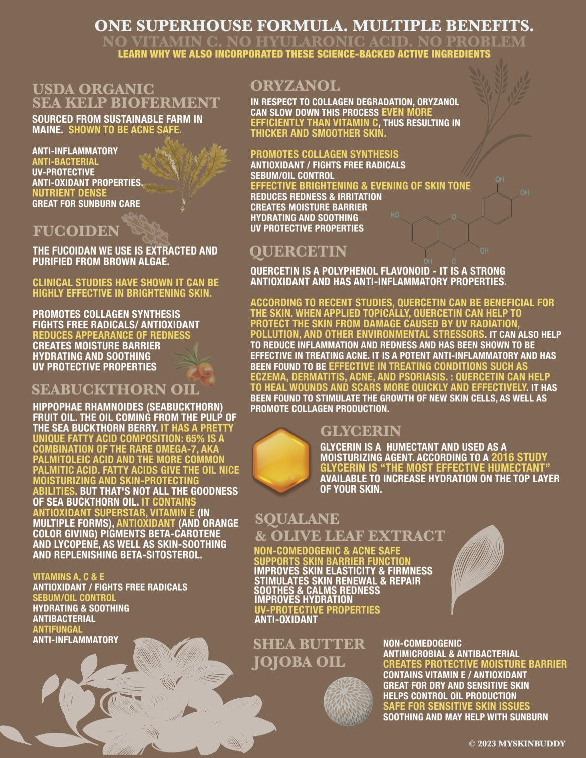Bee Bright All Day Serum - Concordia Style Boutique