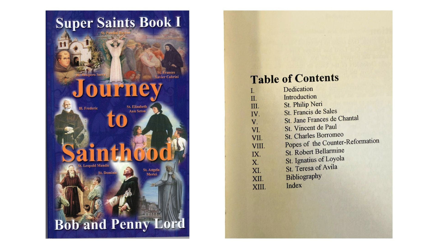 Journey to Sainthood Book