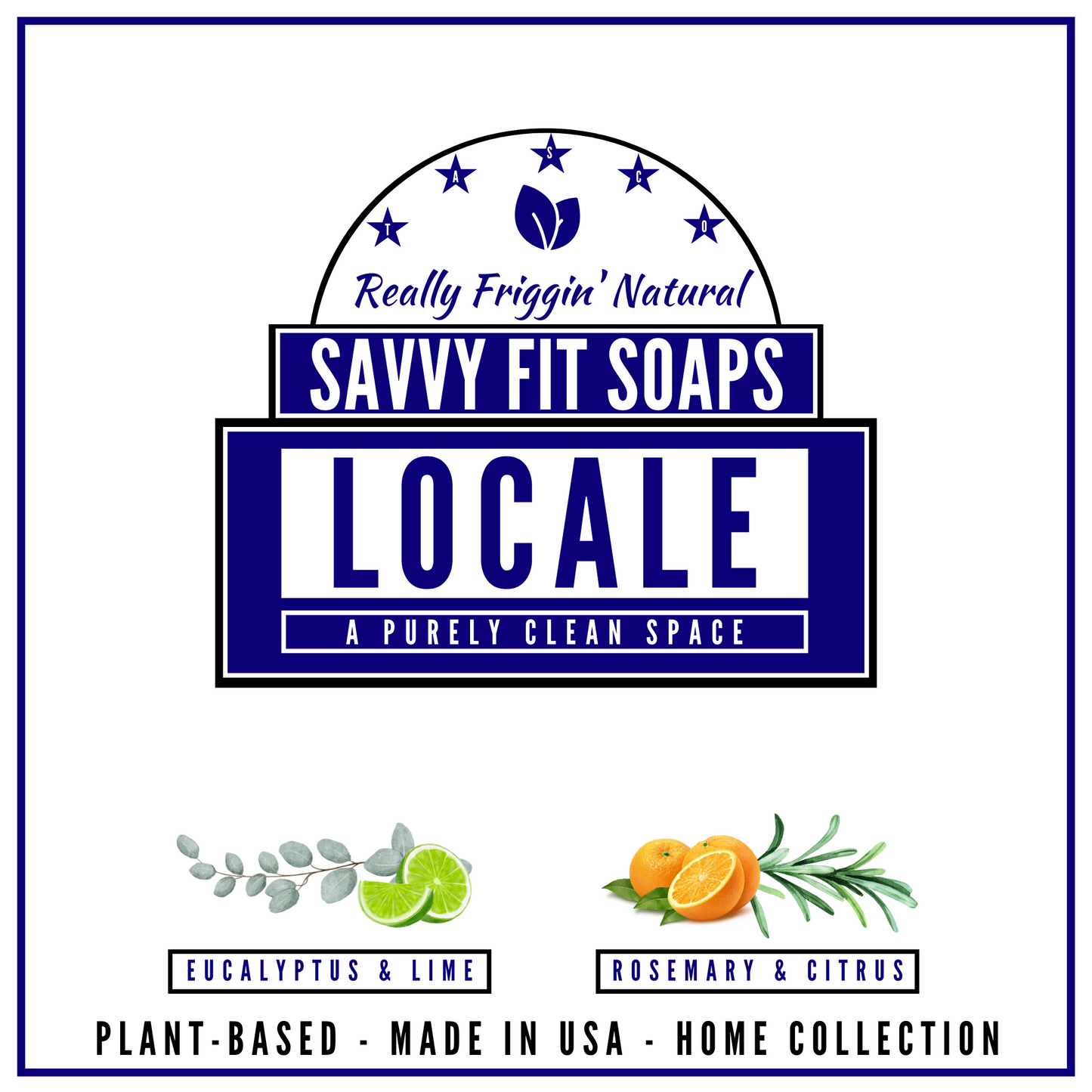 LOCALE: Safe & Clean Surface Cleaner Kit Powered by E - Concordia Style Boutique