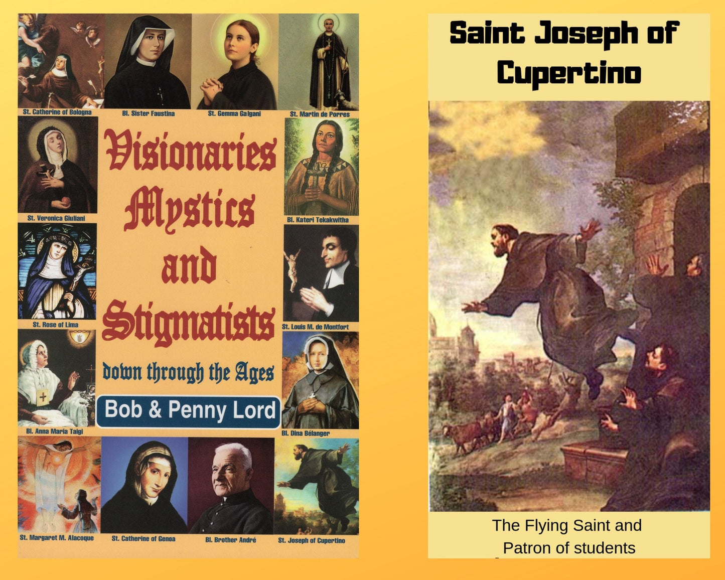 Visionaries Mystics and Stigmatists Book and Companion Saint Joseph of Cupertino DVD Free Shipping