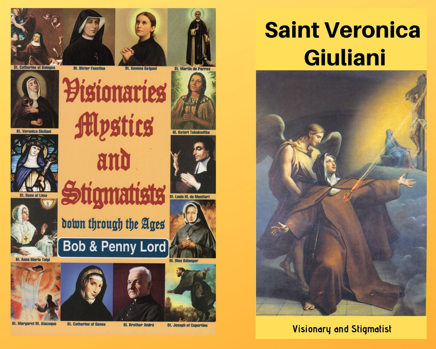 Visionaries Mystics and Stigmatists Book and Companion Saint Veronica Giuliani DVD Free Shipping