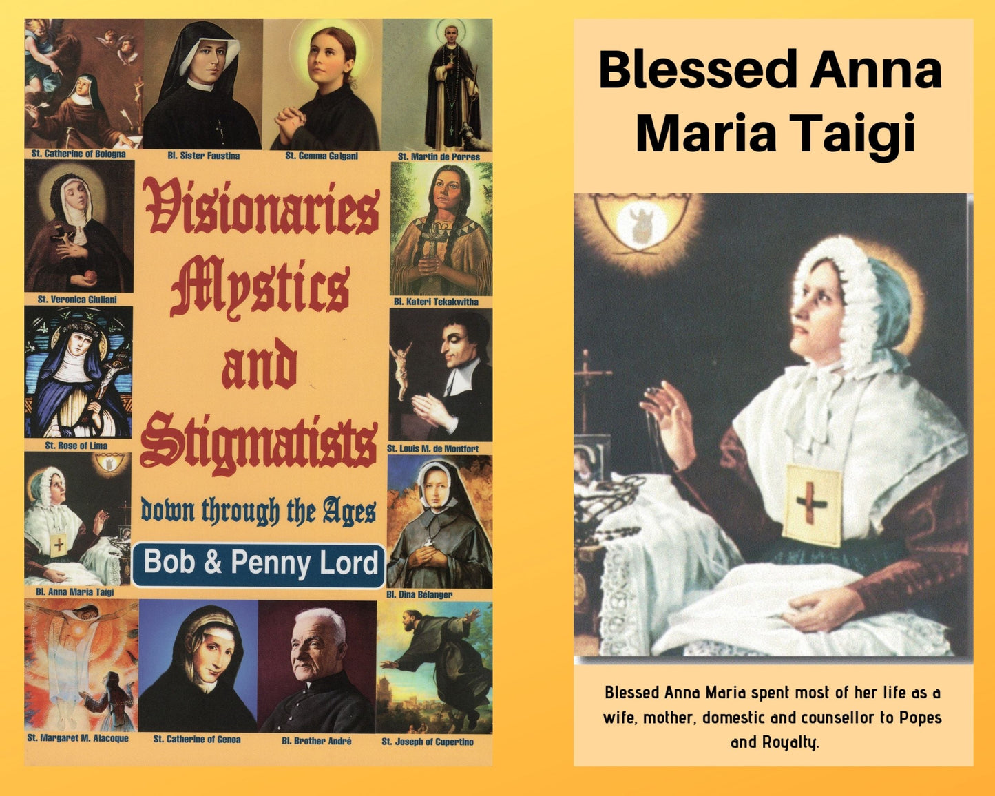 Visionaries Mystics and Stigmatists Book and Companion Blessed Anna Maria Taigi DVD Free Shipping