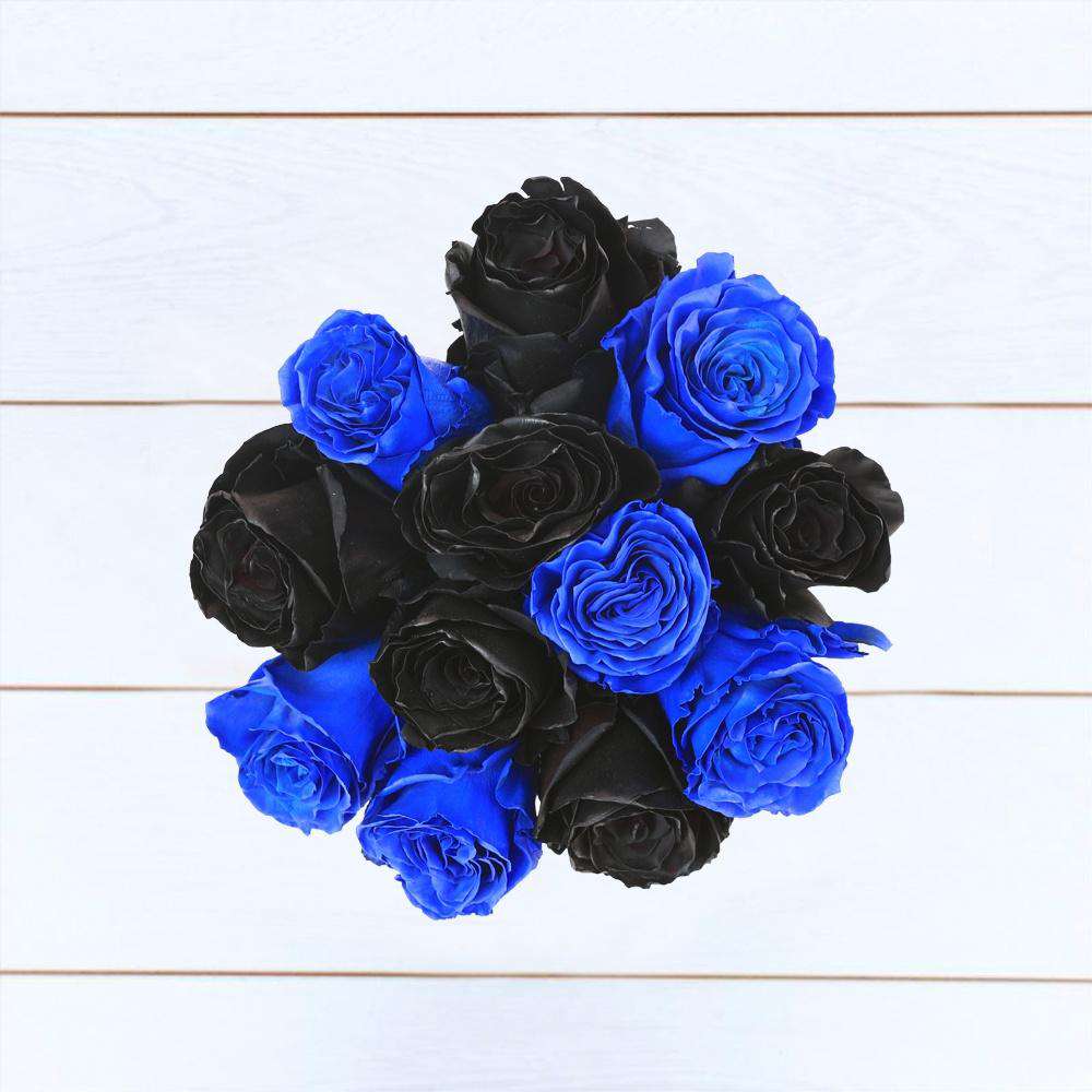 BLACK & BLUE