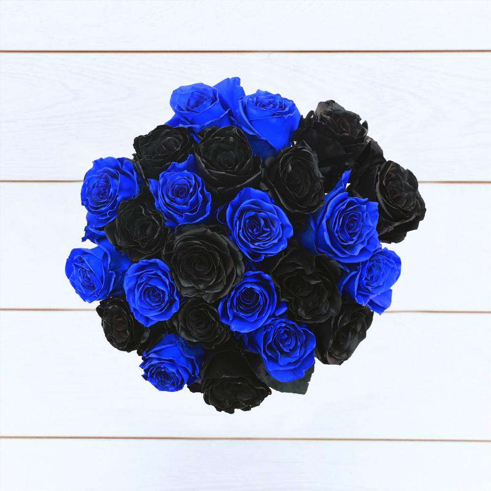 BLACK & BLUE