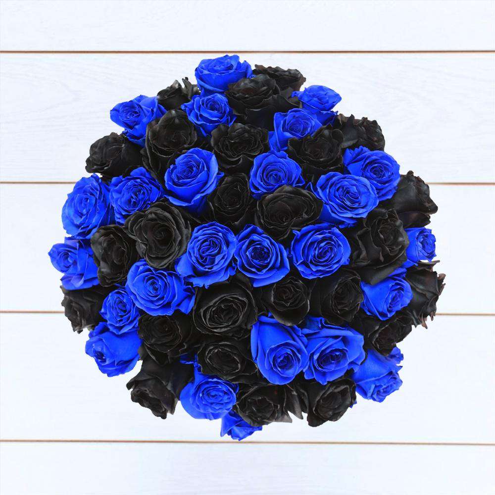 BLACK & BLUE