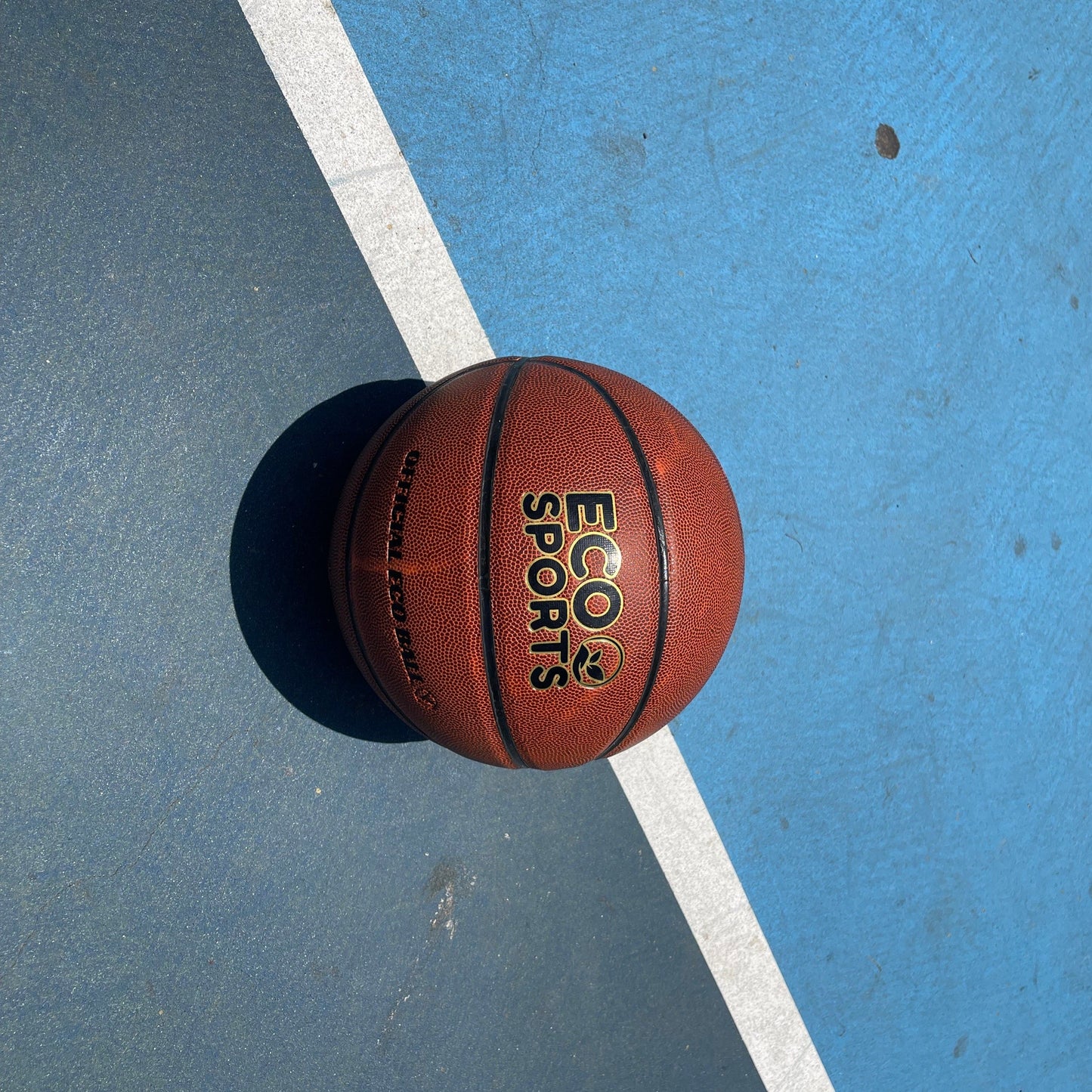 Basketball Team Pack - Wholesale 10 Basketballs in Men's, Women's and Youth Sizes - Concordia Style Boutique