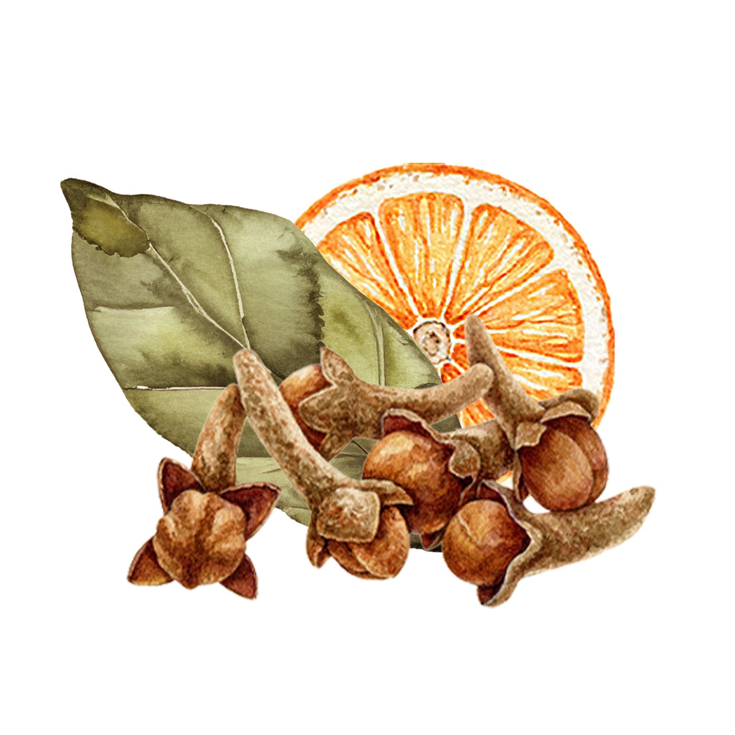 Bay Spice Essential Oil Blend - Concordia Style Boutique