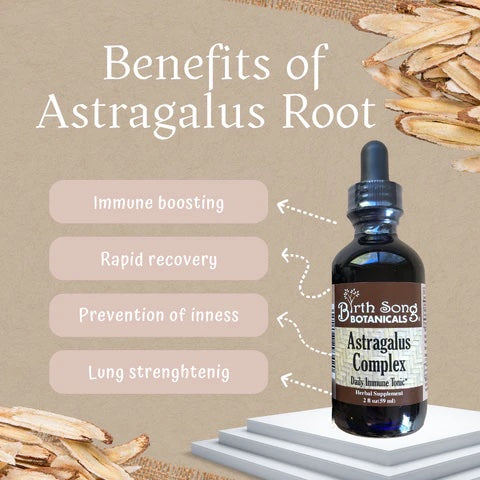 Astragalus Root Complex Immune Support Supplement* - Concordia Style Boutique