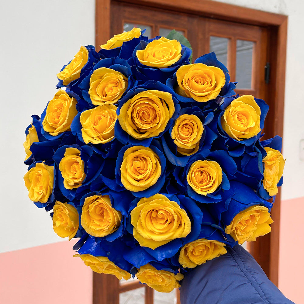 BLUE N' YELLOW