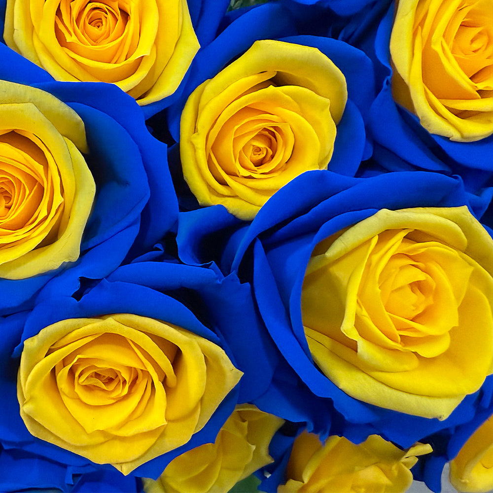 BLUE N' YELLOW