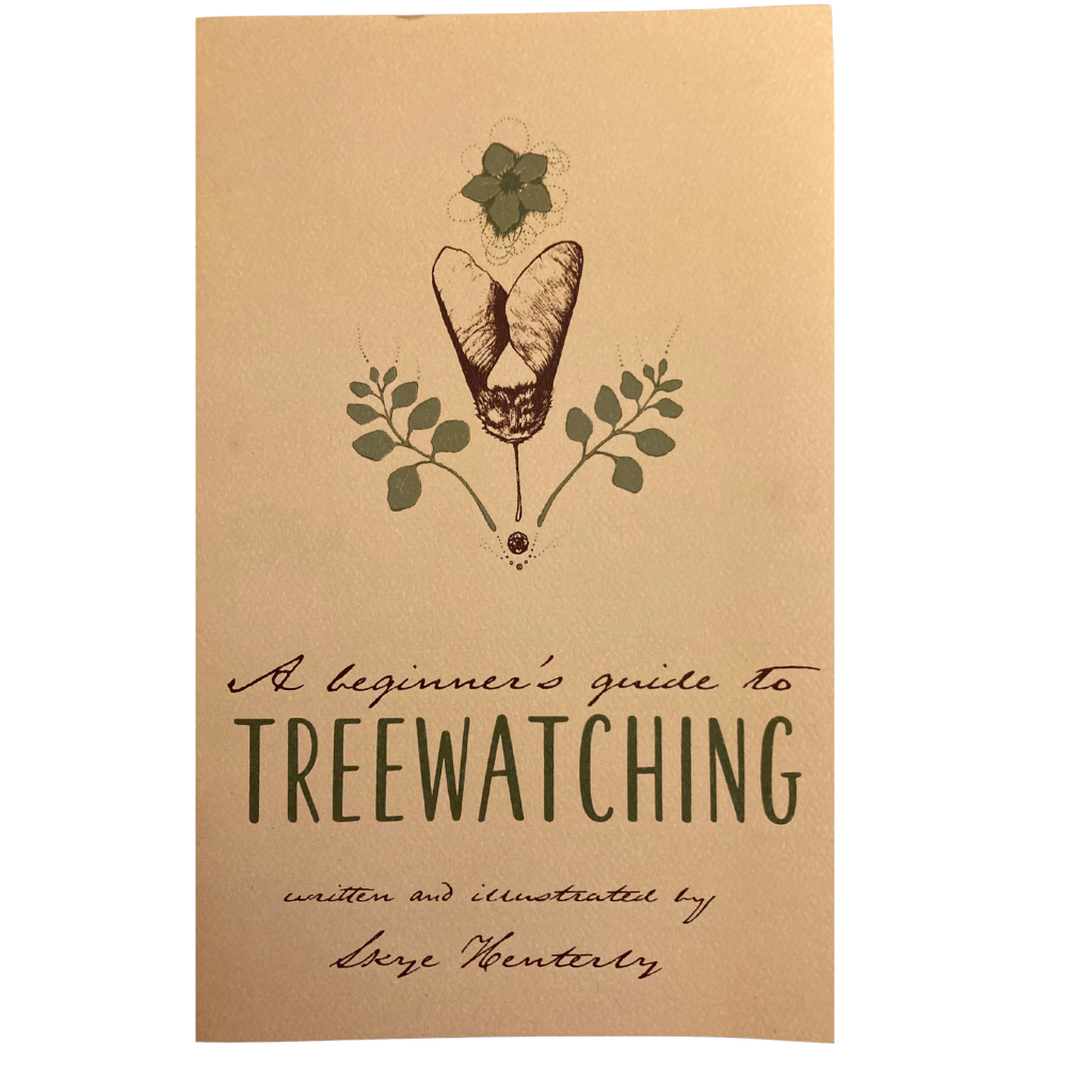 Beginner's Guide to Treewatching: Embark on a Tranquil Journey of Connecting with Nature - Concordia Style Boutique