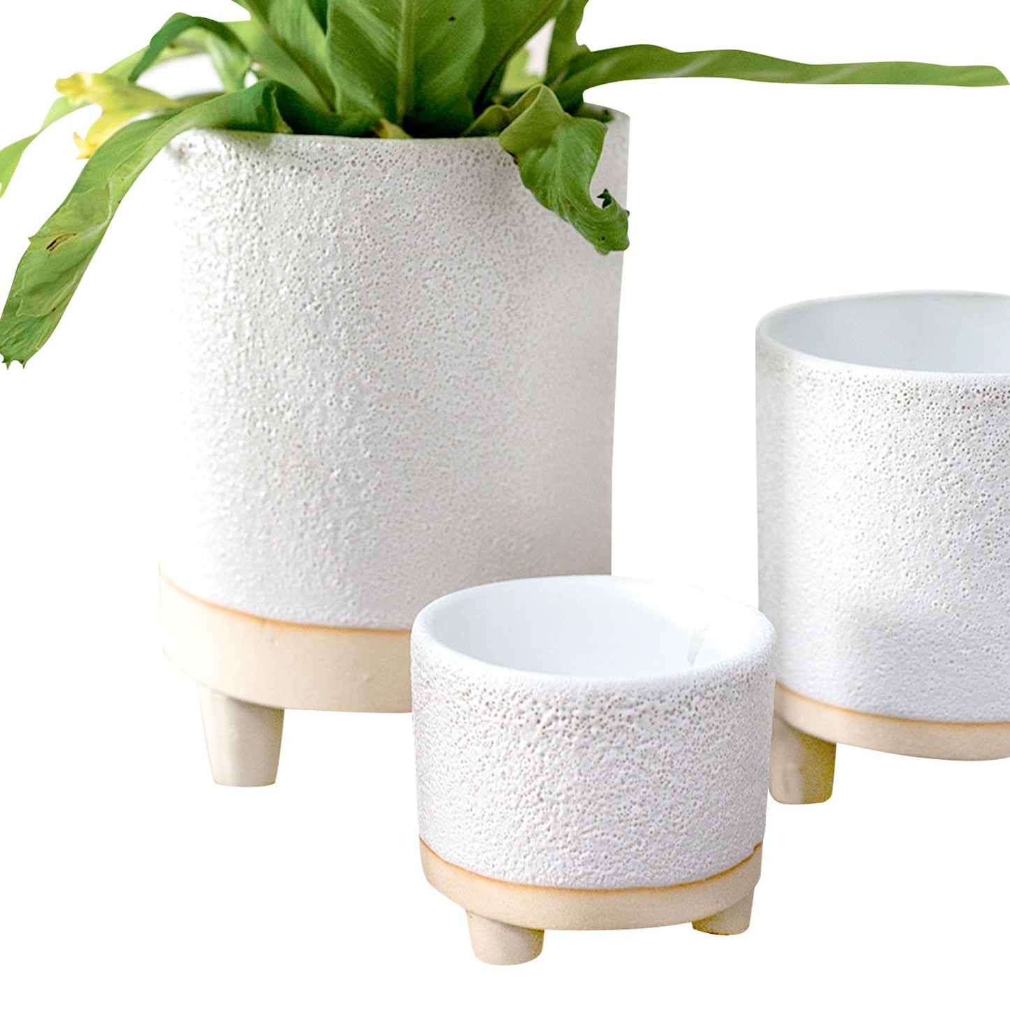 2 inch Footed Pot