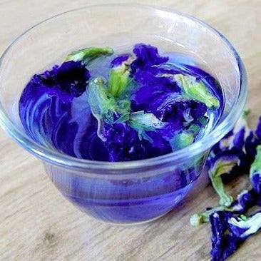 Butterfly Pea Flower - Concordia Style Boutique