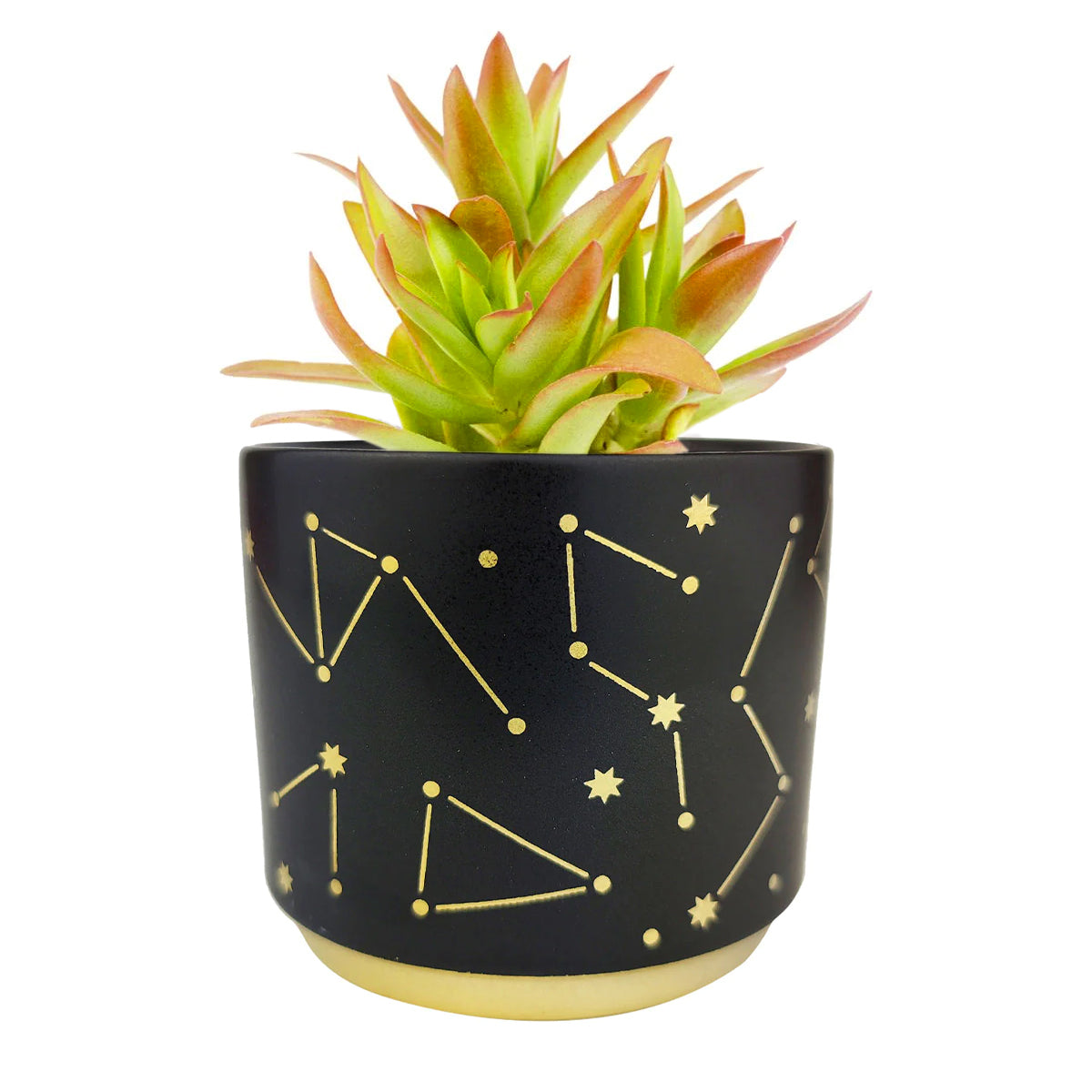 Celestial Pot