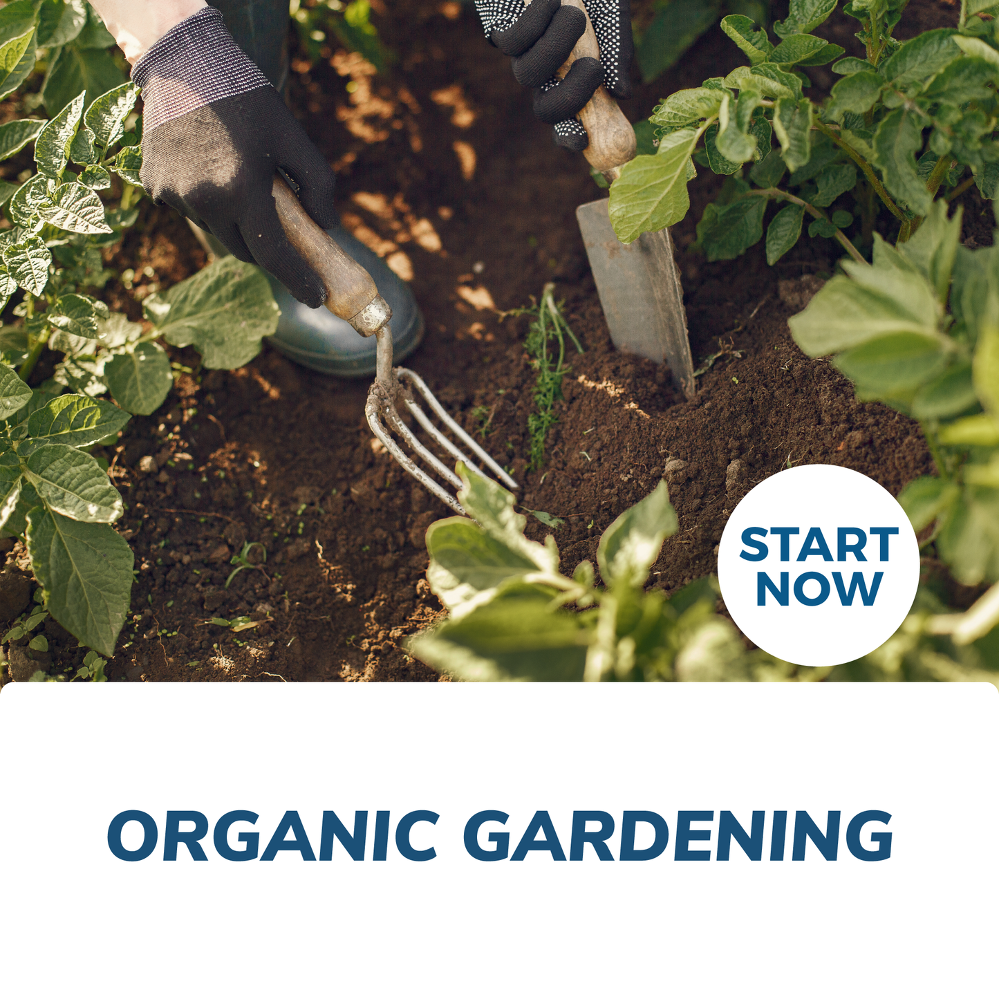 Organic Gardening Online Certificate Course - Concordia Style Boutique