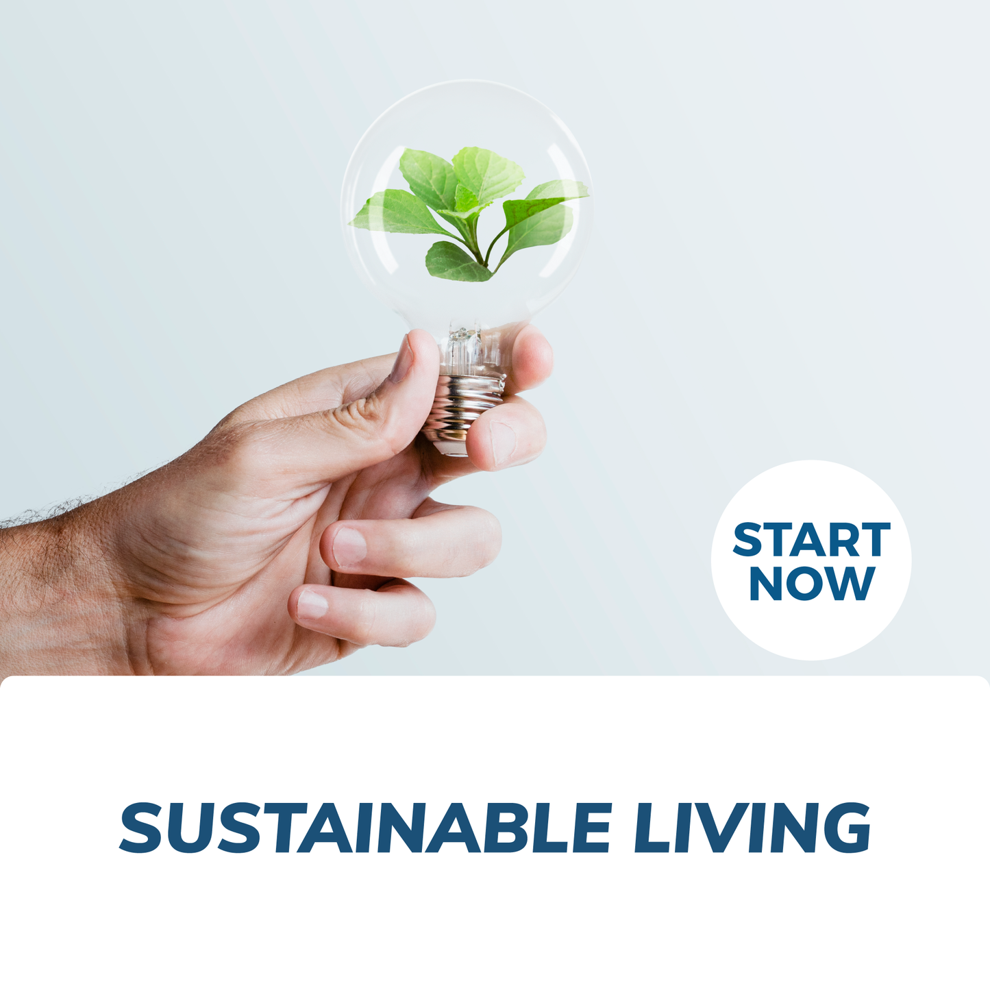 Sustainable Living Online Certificate Course - Concordia Style Boutique