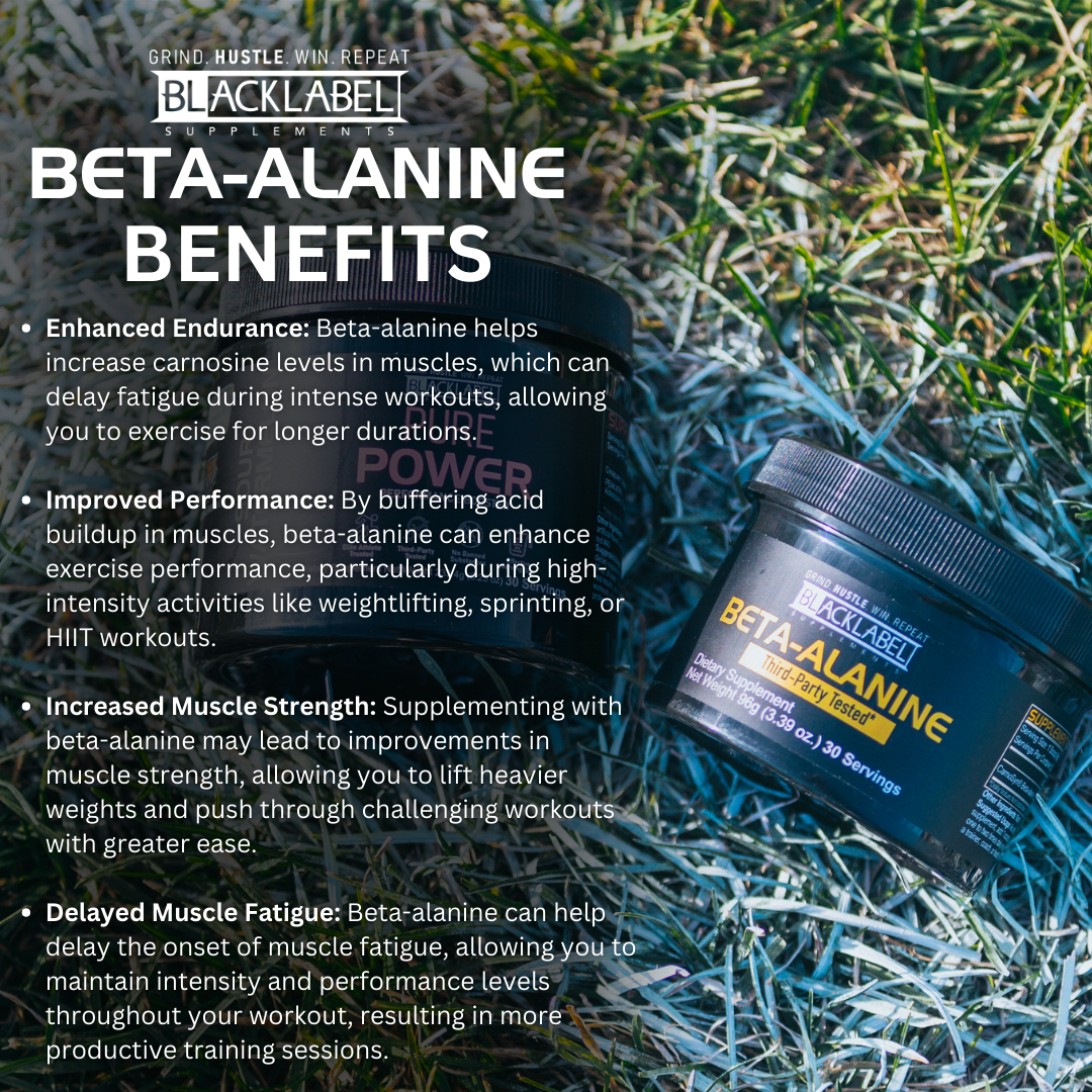 BETA-ALANINE - Concordia Style Boutique
