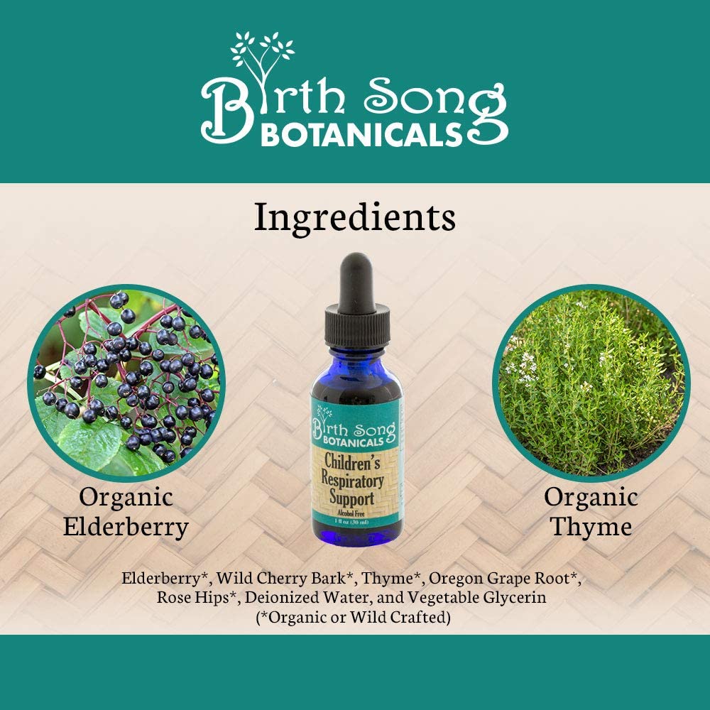 Children's Respiratory Support Herbal Tincture to Support Healthy Lungs* with Elderberry 1 oz. - Concordia Style Boutique