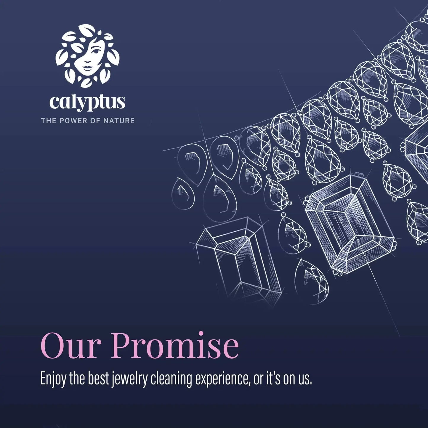 Calyptus Ultrasonic Jewelry Cleaner Solution Concentrate | Plant-Based Eyeglass and Jewelry Cleaner - Concordia Style Boutique