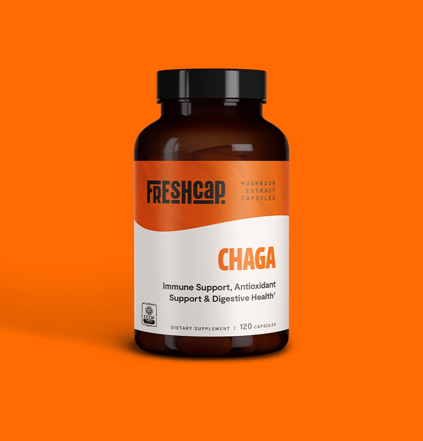 Chaga Mushroom Extract Capsules - Concordia Style Boutique