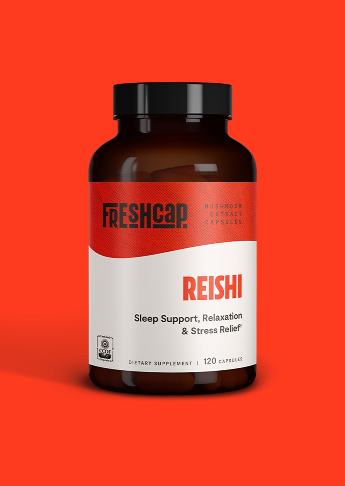 Reishi Mushroom Extract Capsules - Concordia Style Boutique