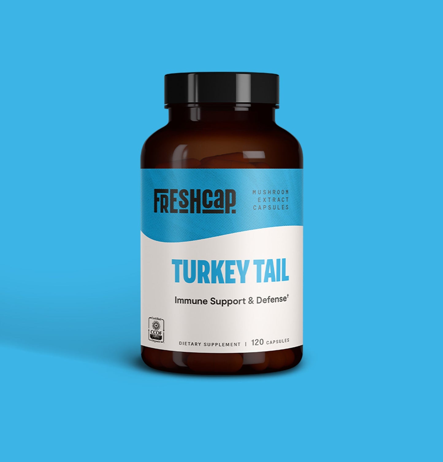 Turkey Tail Mushroom Extract Capsules - Concordia Style Boutique