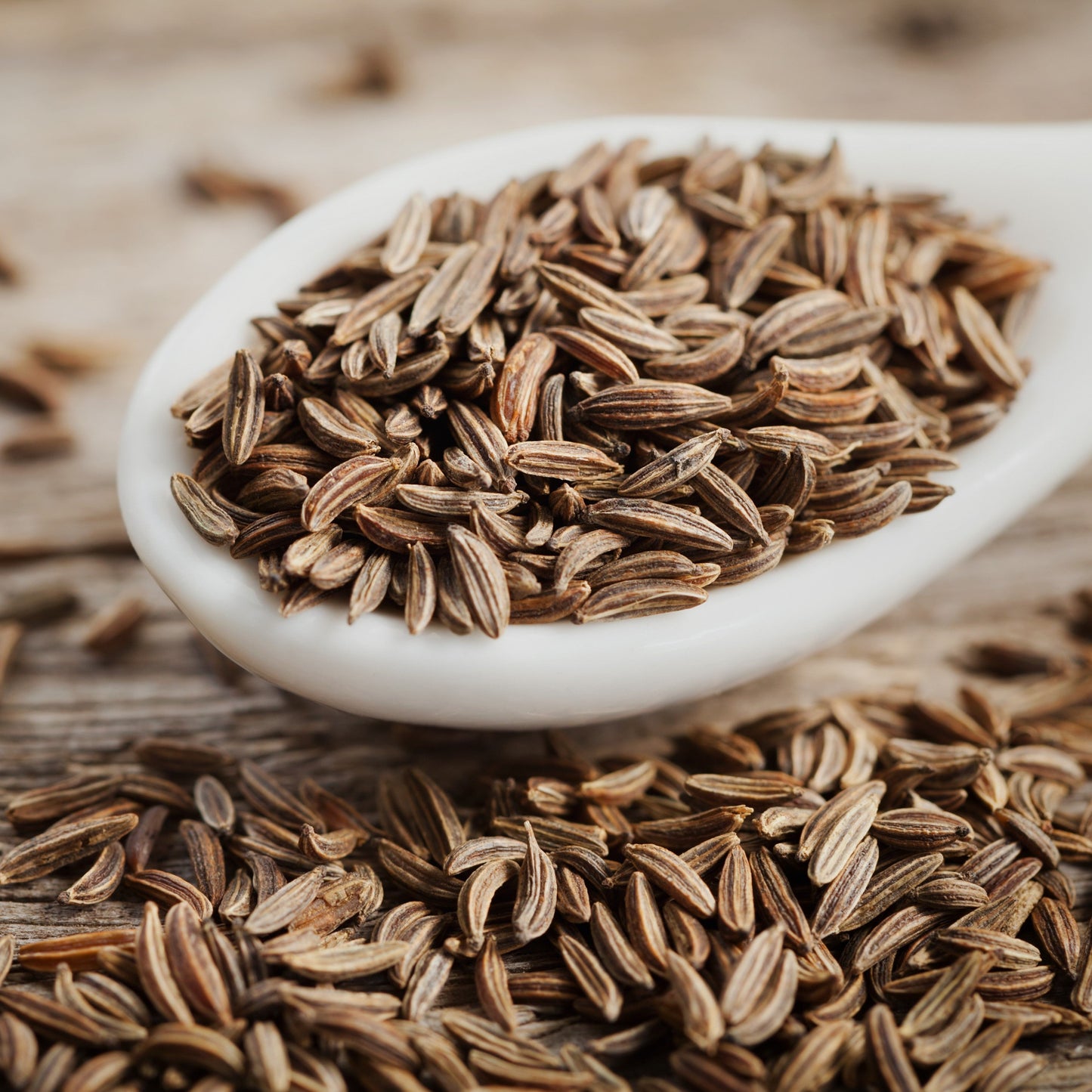 Caraway Essential Oil