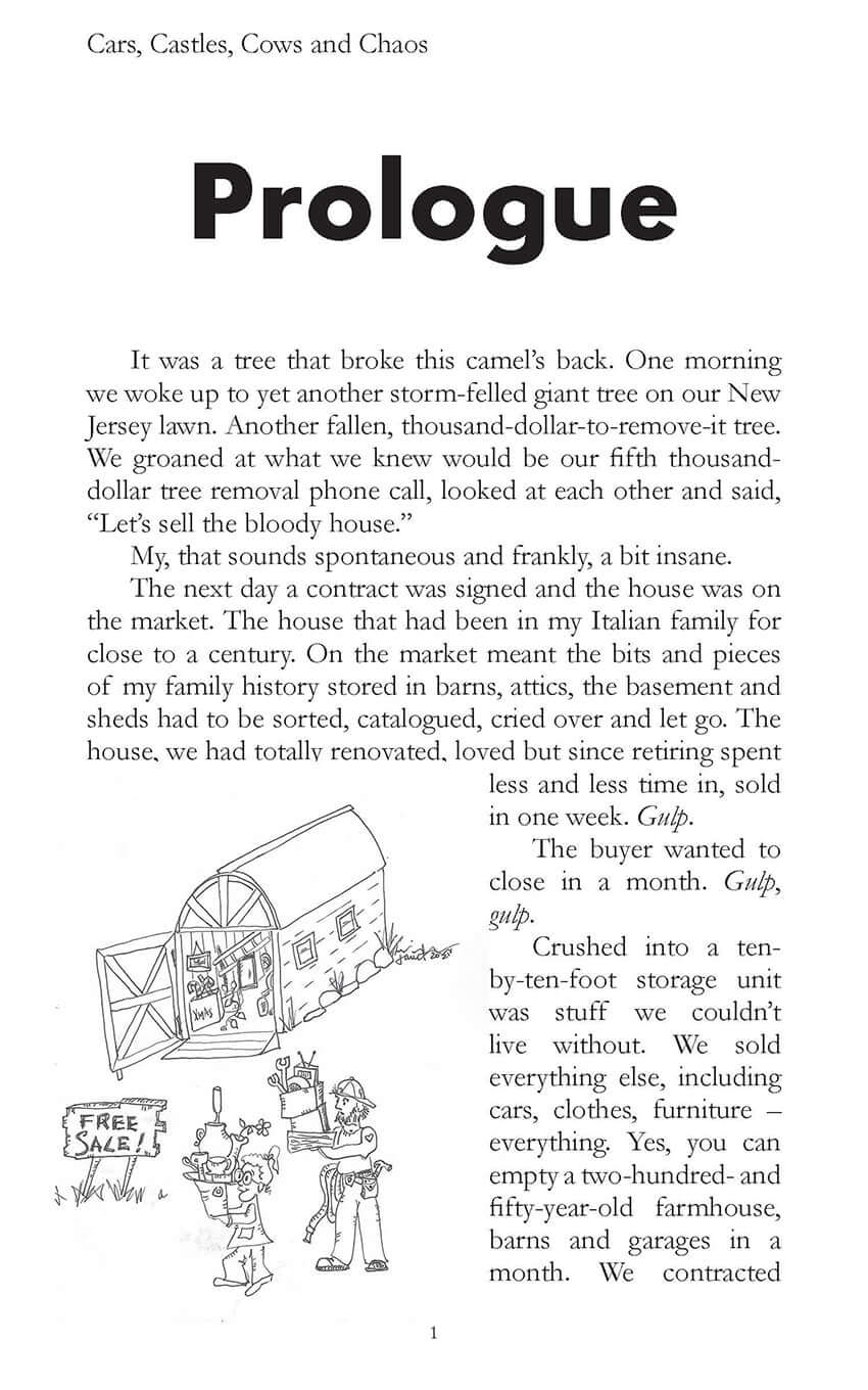 Cars, Castles, Cows, and Chaos