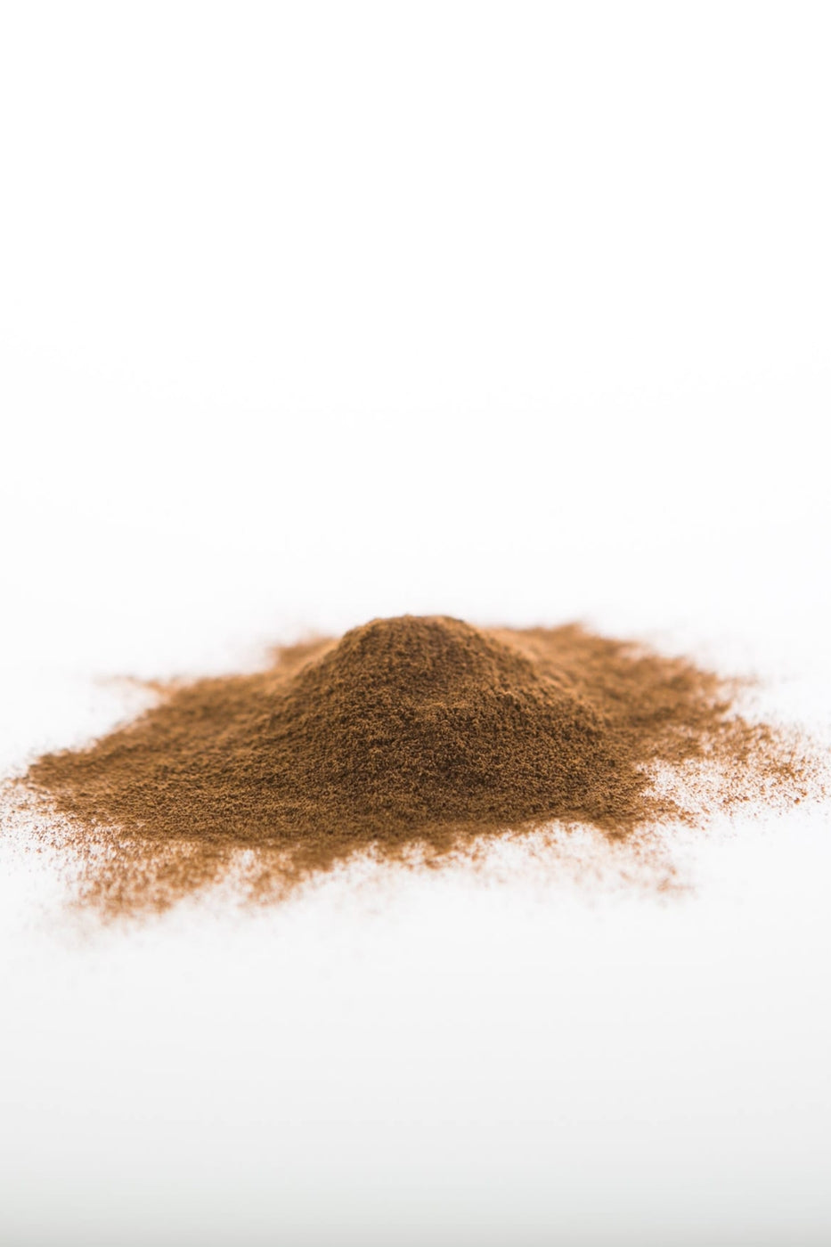 Chaga Mushroom Powder (Wildcrafted) - Concordia Style Boutique