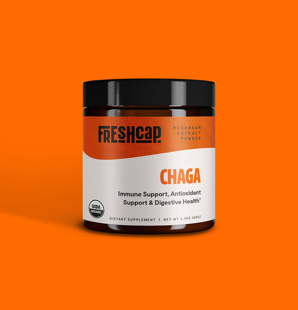 Chaga Mushroom Extract Powder - Concordia Style Boutique