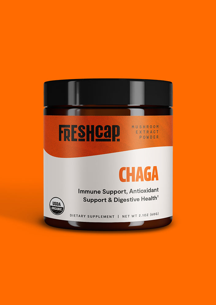 Chaga Mushroom Extract Powder - Concordia Style Boutique