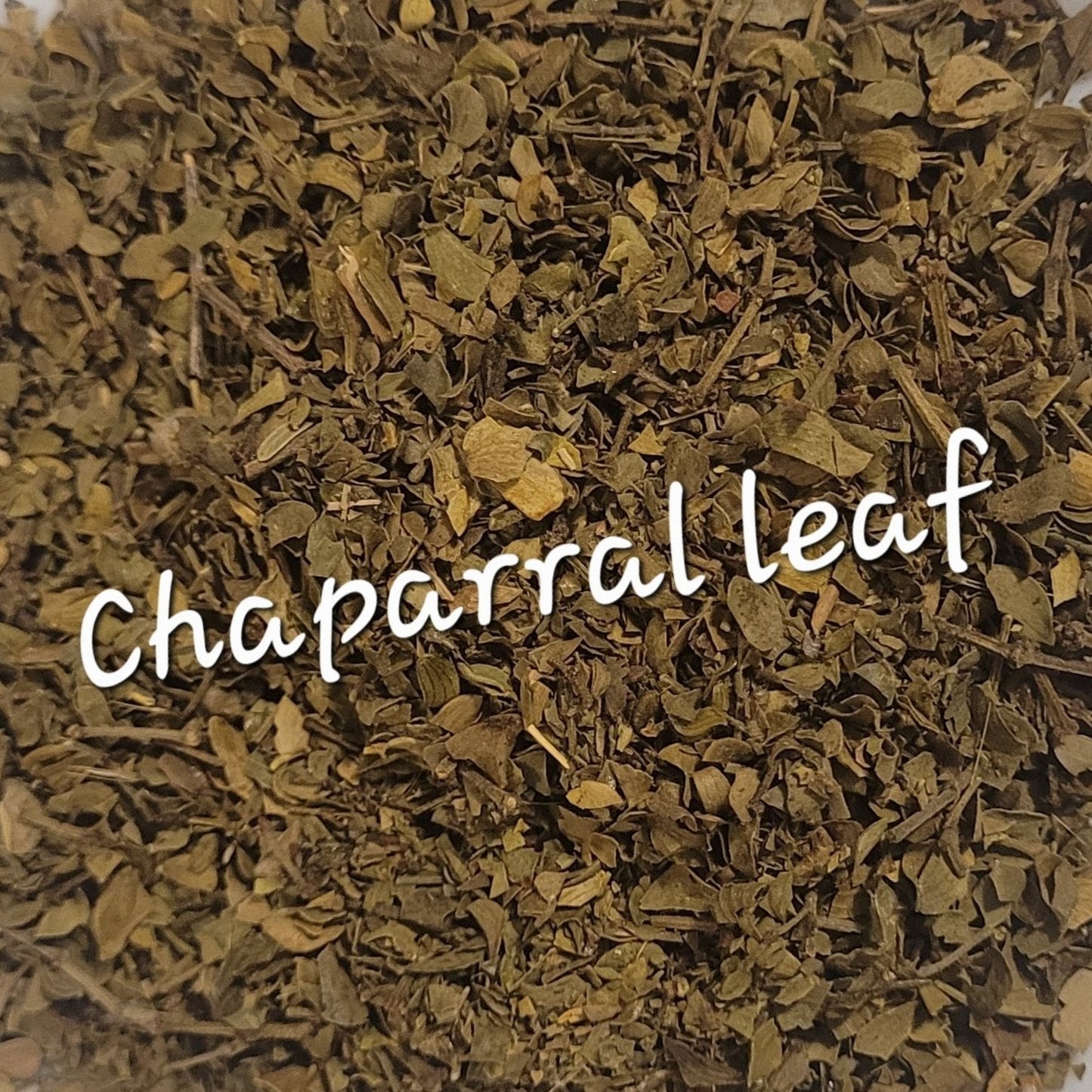 Chaparral Leaf | Detoxification & Immune Strength