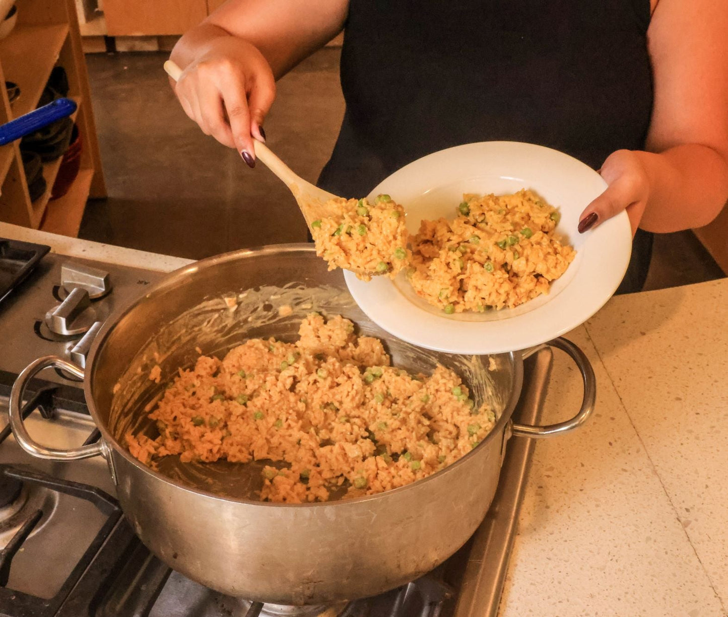 Cheesy Chicken and Rice - #10 Can - Concordia Style Boutique