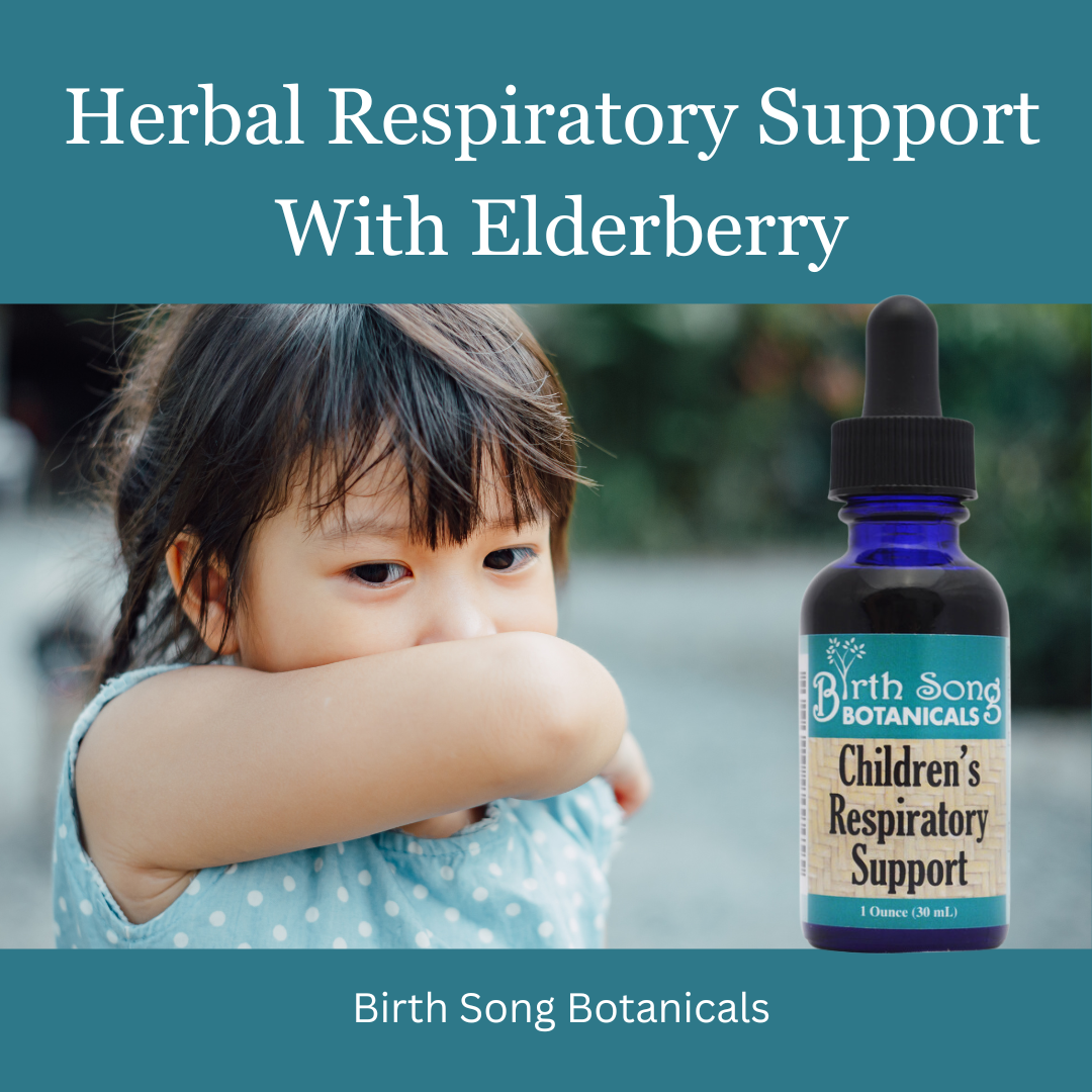 Children's Respiratory Support Herbal Tincture to Support Healthy Lungs* with Elderberry 1 oz. - Concordia Style Boutique